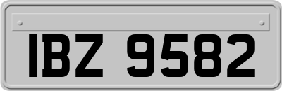 IBZ9582
