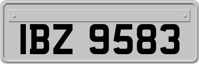 IBZ9583