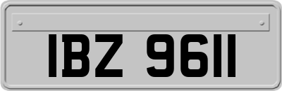 IBZ9611