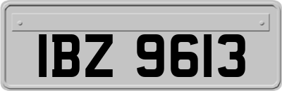 IBZ9613