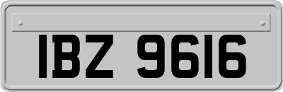 IBZ9616