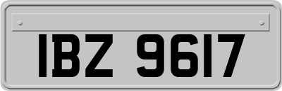 IBZ9617
