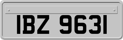IBZ9631