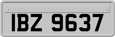 IBZ9637