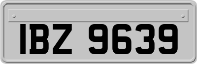 IBZ9639