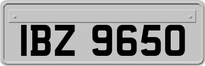 IBZ9650