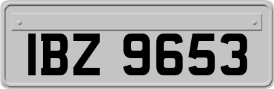 IBZ9653