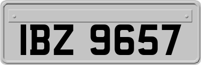 IBZ9657