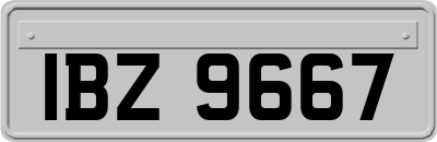 IBZ9667