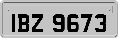 IBZ9673
