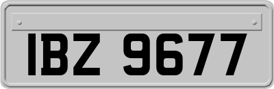 IBZ9677