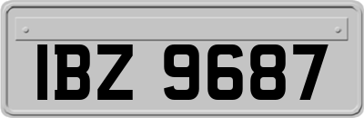 IBZ9687
