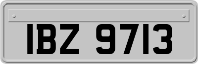 IBZ9713