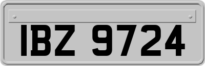 IBZ9724