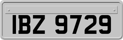 IBZ9729