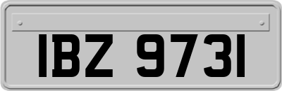 IBZ9731