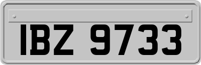 IBZ9733