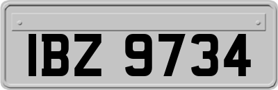 IBZ9734