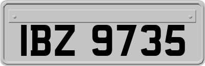 IBZ9735