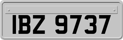 IBZ9737