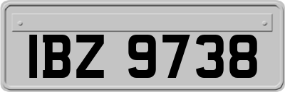 IBZ9738