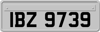 IBZ9739