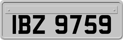 IBZ9759