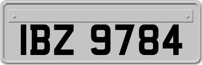 IBZ9784