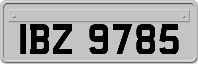 IBZ9785