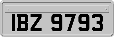 IBZ9793