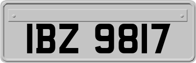 IBZ9817