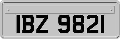 IBZ9821
