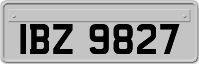 IBZ9827