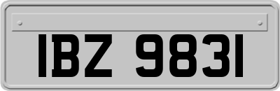 IBZ9831
