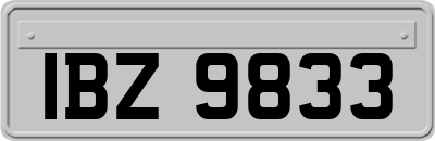 IBZ9833