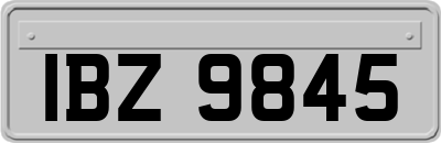 IBZ9845
