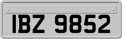 IBZ9852