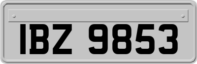 IBZ9853