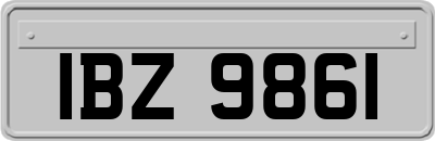 IBZ9861