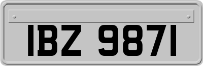 IBZ9871
