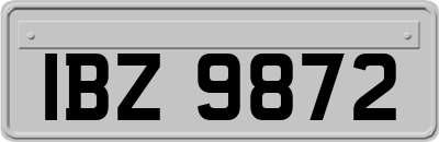 IBZ9872