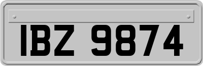 IBZ9874