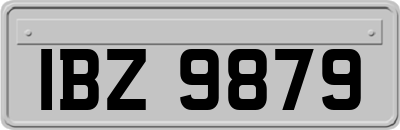 IBZ9879