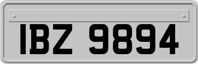 IBZ9894