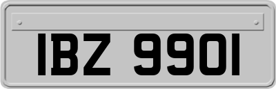 IBZ9901