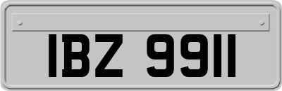 IBZ9911