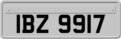 IBZ9917