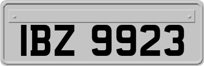 IBZ9923