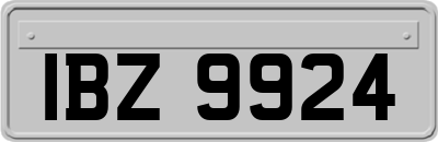 IBZ9924