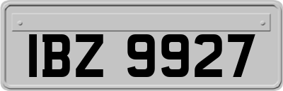 IBZ9927
